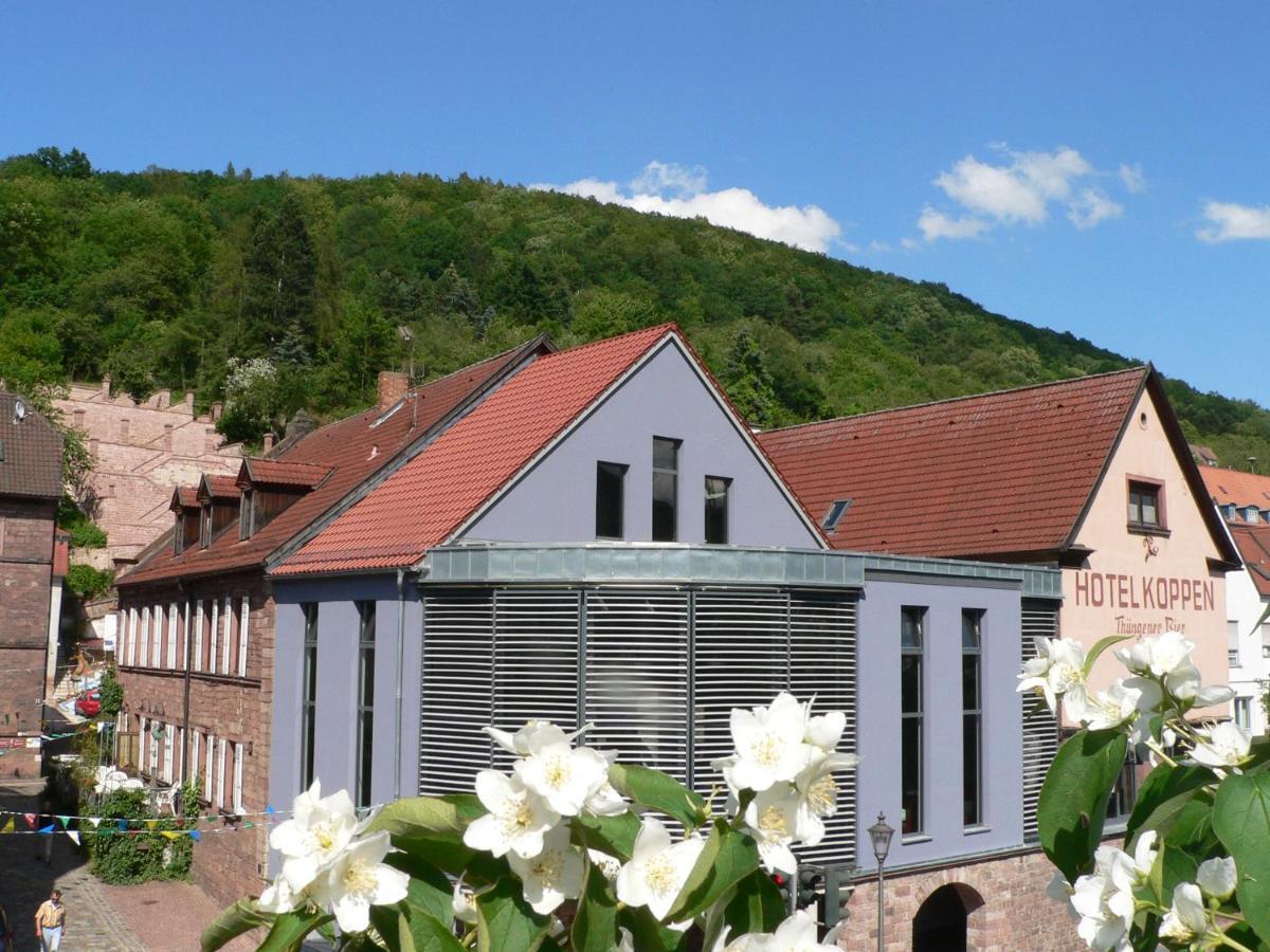 Fraenkischer Gasthof-hotel Zum Koppen 3* Gemunden am Main